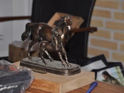 dsc_0561_web